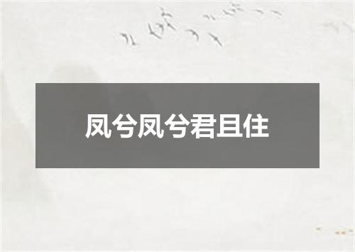 凤兮凤兮君且住