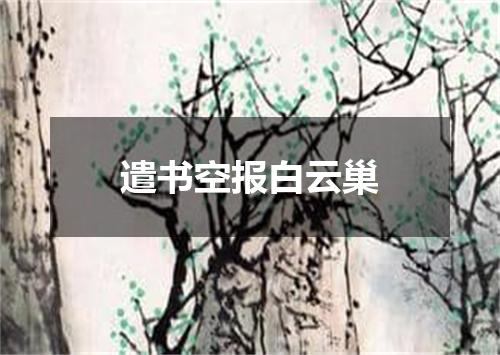 遣书空报白云巢