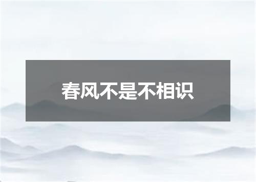 春风不是不相识