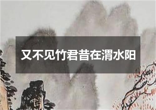 又不见竹君昔在渭水阳