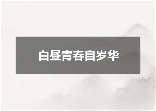 白昼青春自岁华