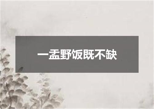 一盂野饭既不缺