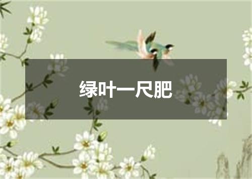 绿叶一尺肥