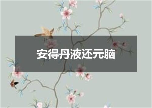 安得丹液还元脑