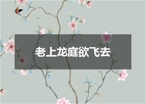 老上龙庭欲飞去
