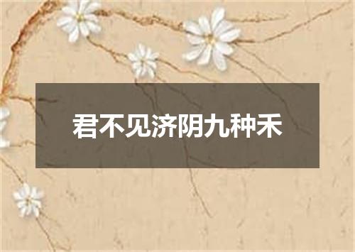 君不见济阴九种禾