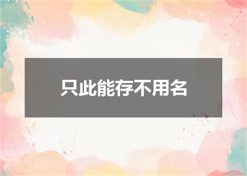 只此能存不用名