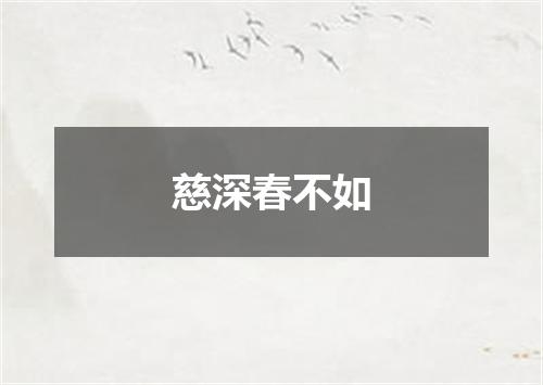 慈深春不如