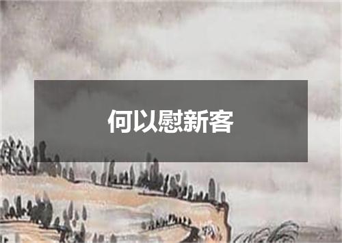 何以慰新客