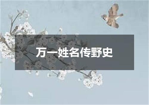 万一姓名传野史
