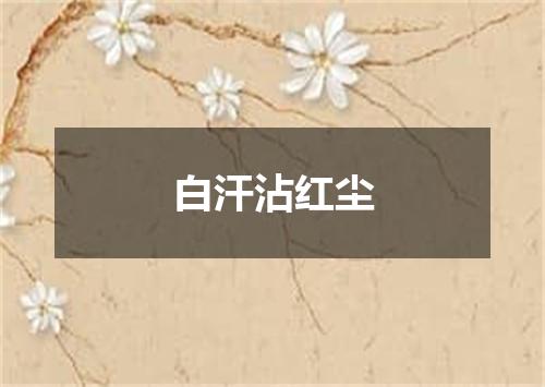 白汗沾红尘