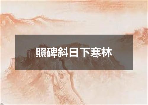 照碑斜日下寒林