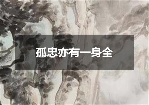 孤忠亦有一身全