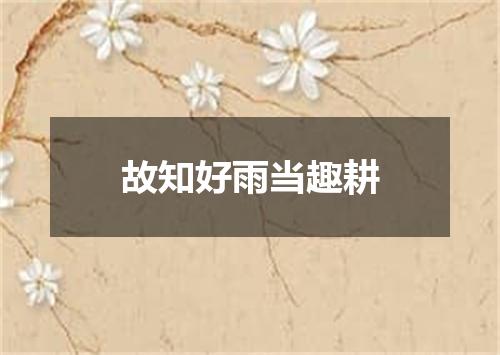 故知好雨当趣耕