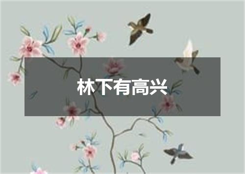 林下有高兴