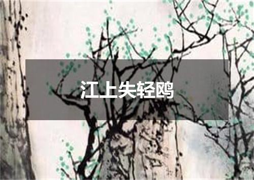 江上失轻鸥