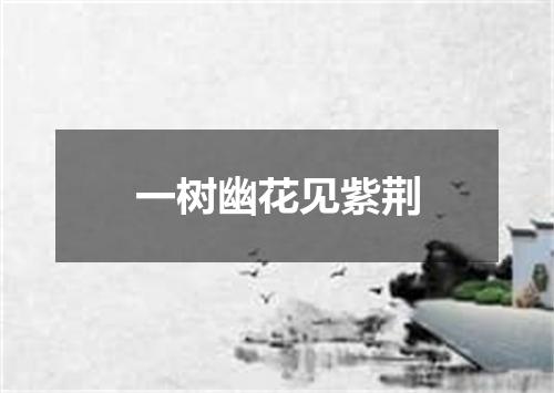 一树幽花见紫荆