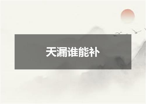 天漏谁能补