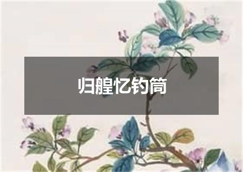 归艎忆钓筒