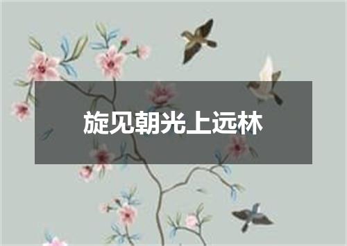 旋见朝光上远林