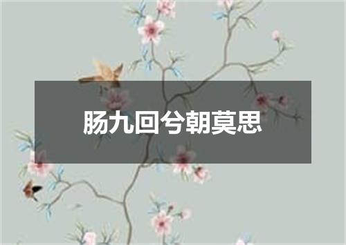 肠九回兮朝莫思