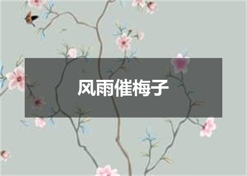 风雨催梅子