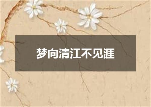 梦向清江不见涯