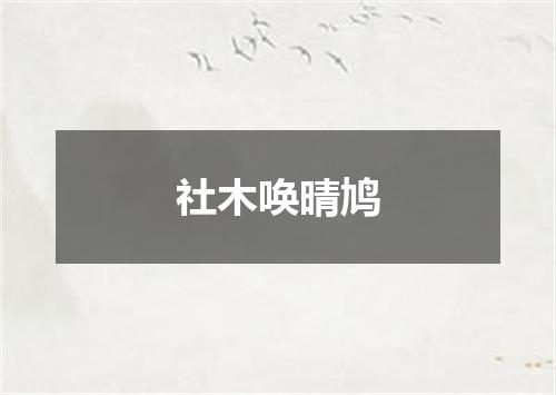 社木唤晴鸠