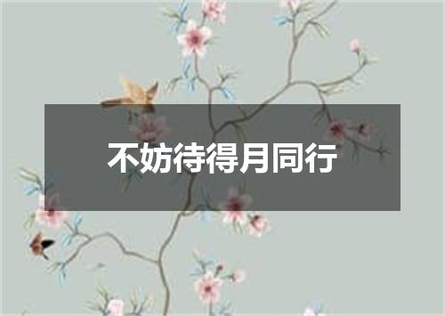 不妨待得月同行