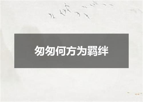 匆匆何方为羁绊