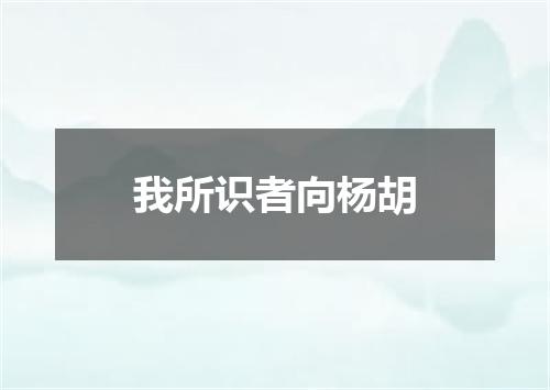 我所识者向杨胡
