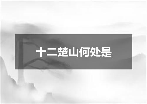 十二楚山何处是