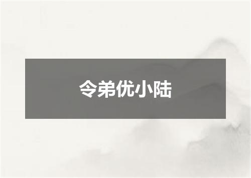 令弟优小陆