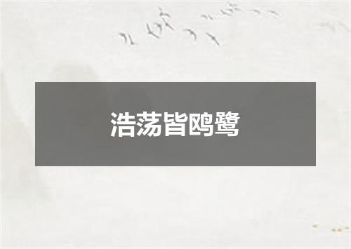 浩荡皆鸥鹭