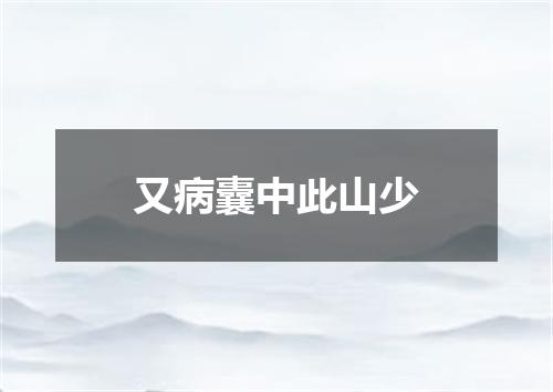 又病囊中此山少