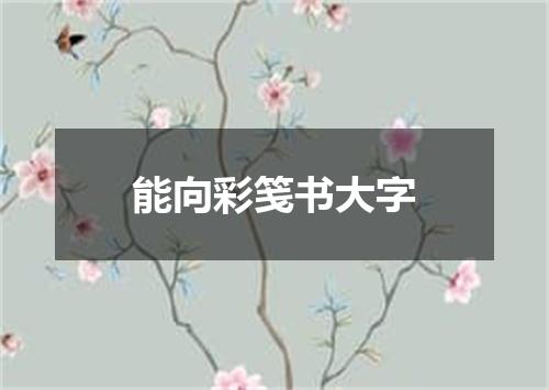 能向彩笺书大字