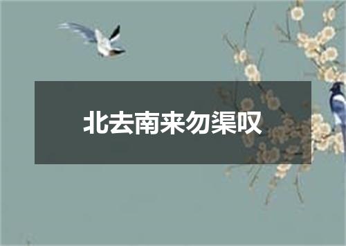 北去南来勿渠叹