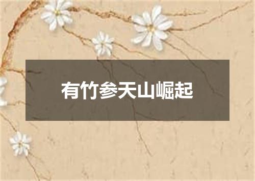 有竹参天山崛起