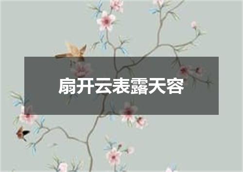 扇开云表露天容