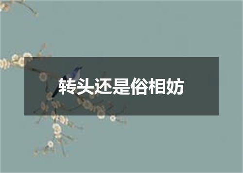 转头还是俗相妨