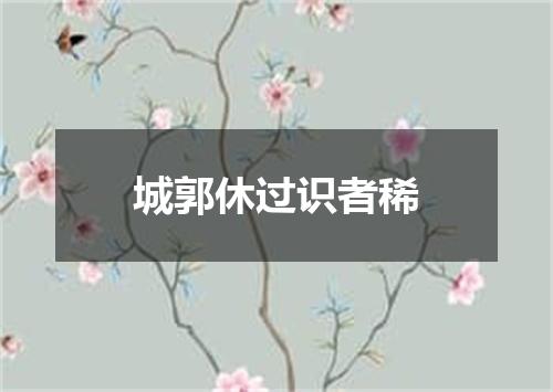 城郭休过识者稀