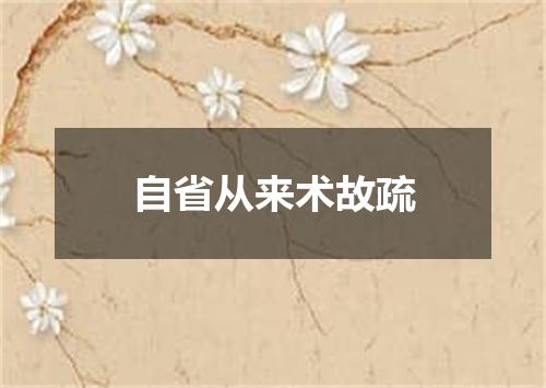 自省从来术故疏