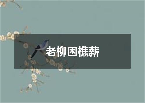 老柳困樵薪