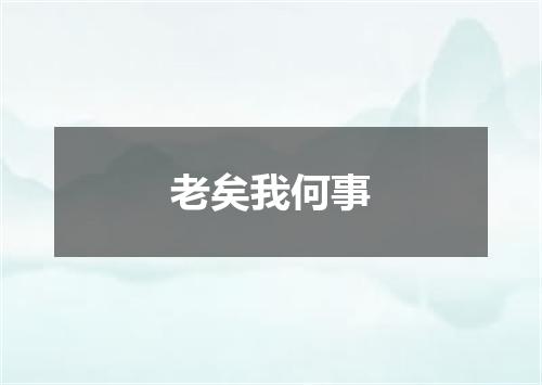 老矣我何事