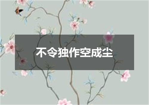不令独作空成尘