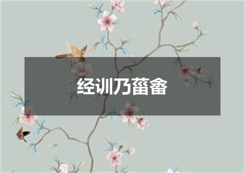 经训乃菑畬