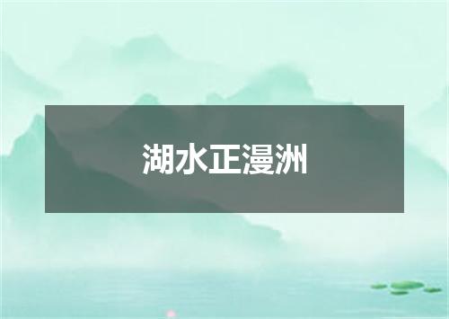 湖水正漫洲