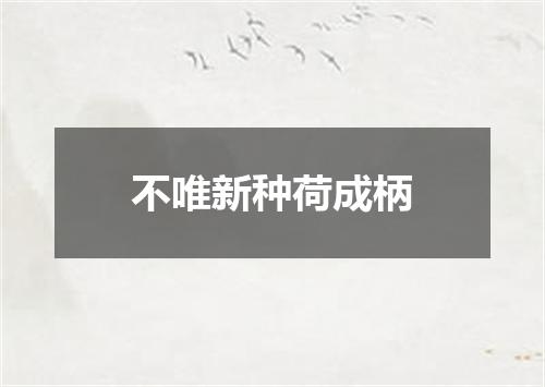 不唯新种荷成柄