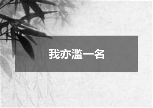 我亦滥一名