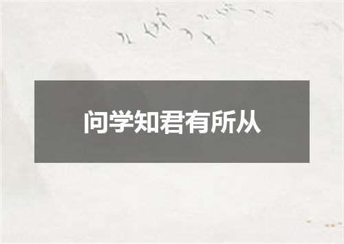 问学知君有所从